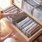 Closet Underwear Organizer (3 PCS/ SET)