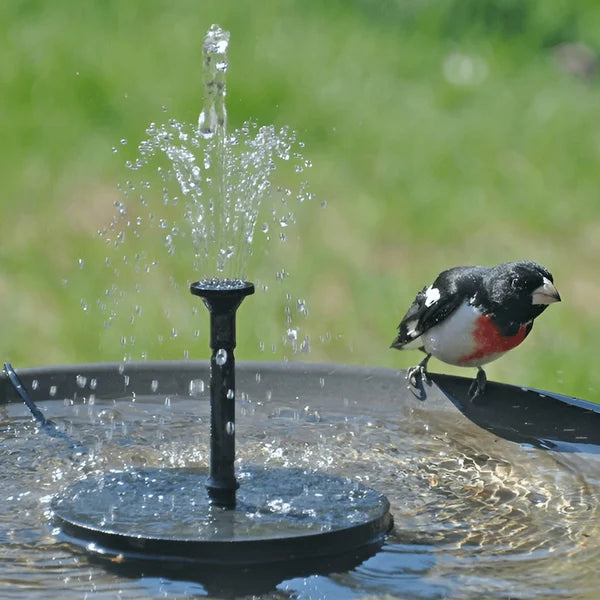 Outdoor Solar Fountain Pump