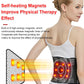 Physical Therapy Waist Support Back Brace